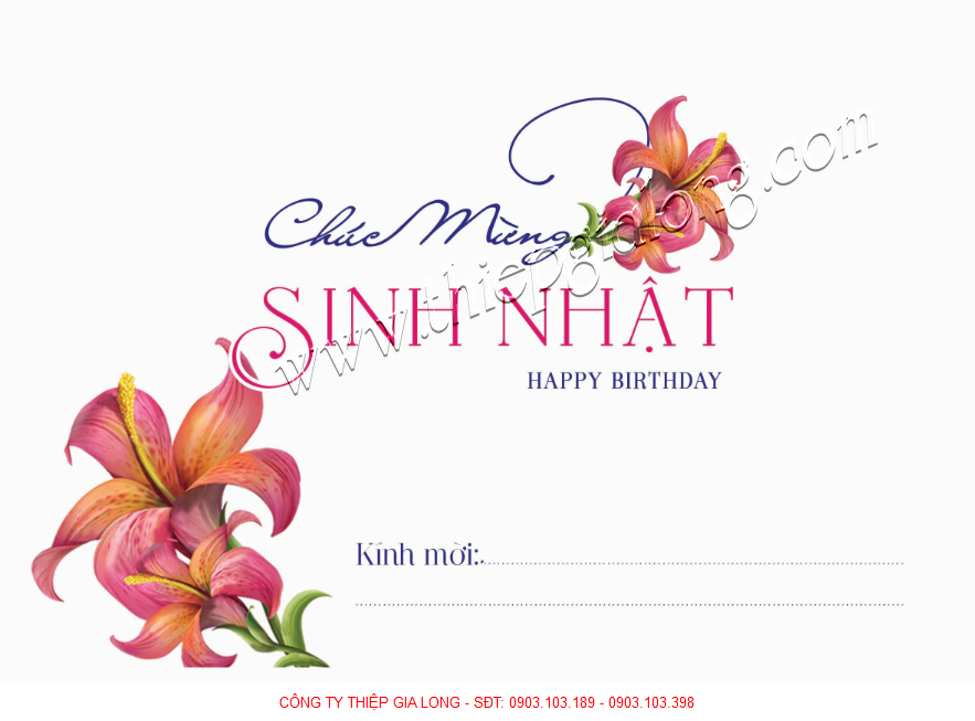 thiệp mời sinh nhật thiệp mời sinh nhật