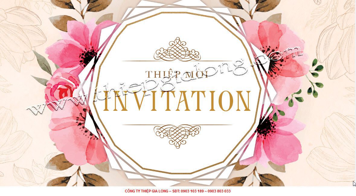 mẫu thiệp mời sinh nhật 