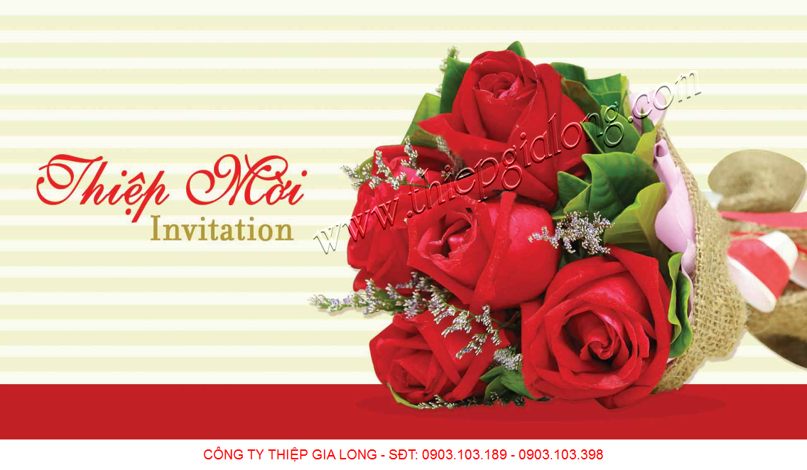 thiệp mời sinh nhật đẹp