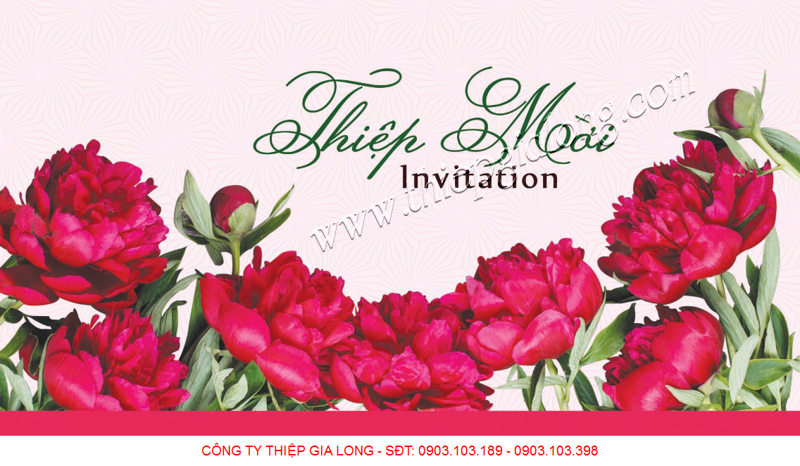Mẫu thiệp mời sinh nhật ép nhũ hiện đại