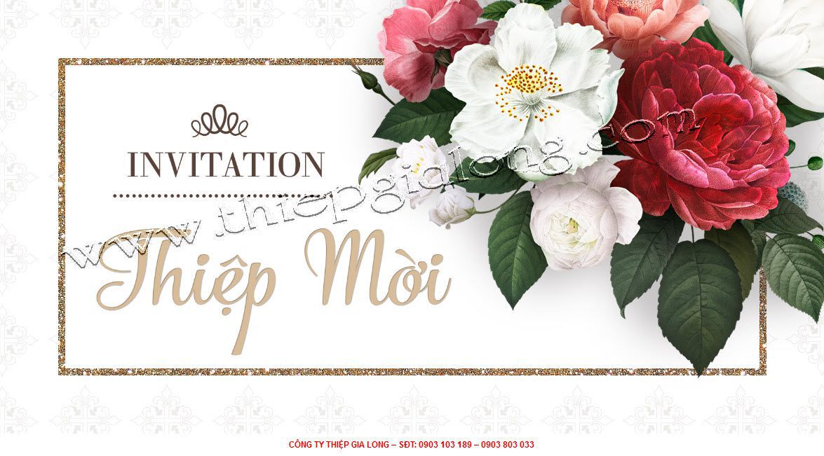 thiệp mời sinh nhật sang trọng