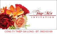 Thiệp Mời Sinh Nhật Ép Nhũ