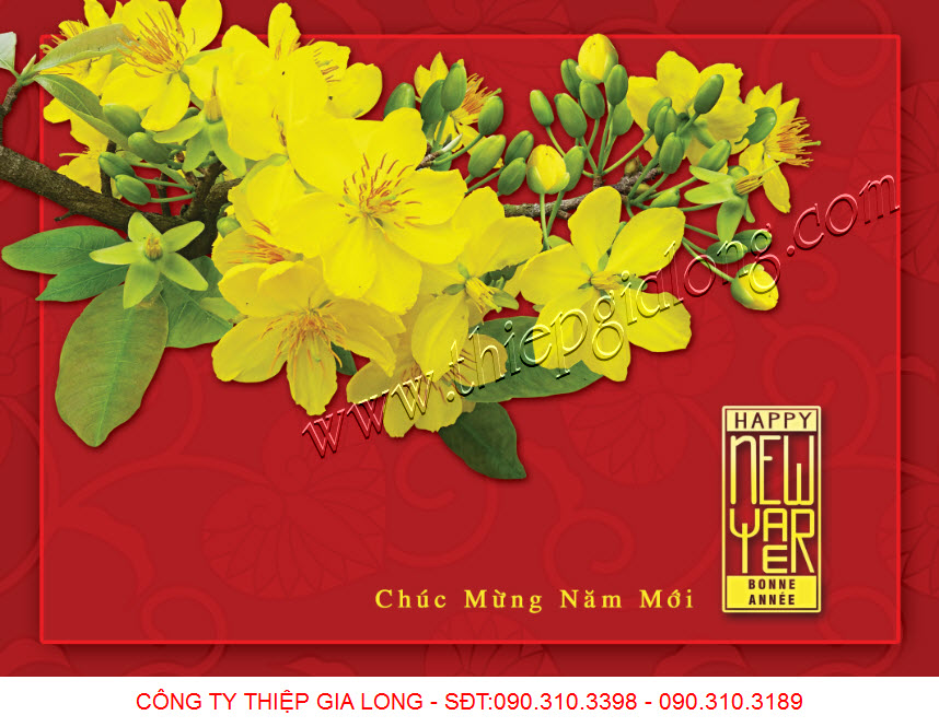 Mẫu thiệp chúc mừng năm mới hoa mai GL-1695